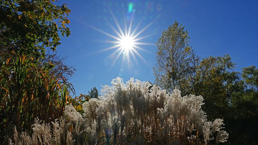© Gottfried Bahr Herbst im Kurpark Oberlaa (Gottfried Bahr)
