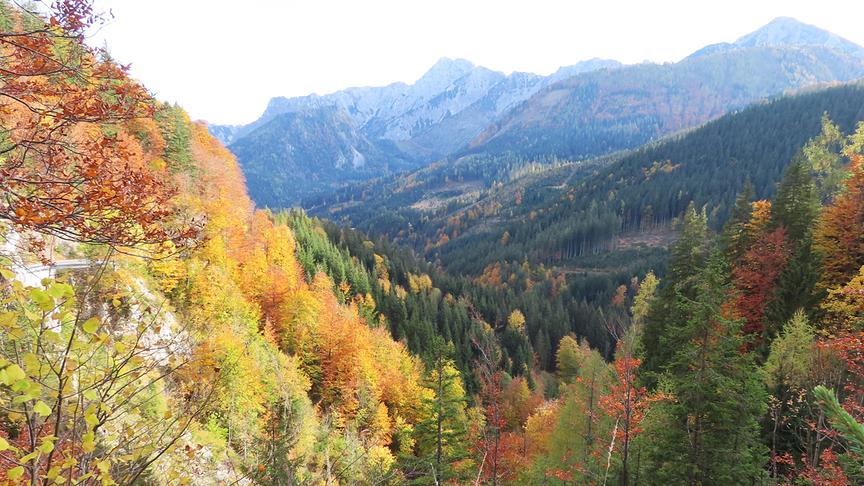 © Rudolf Kößl Wunderbare Herbststimmung am Hengstpass. (Rudolf Kößl)