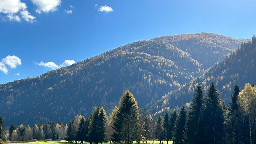 © Helga Schaller Bad Kleinkirchheim (Helga Schaller)