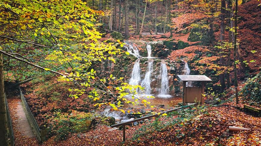 © Doris Stemeseder Herbstzeit in Seeham (Doris Stemeseder)