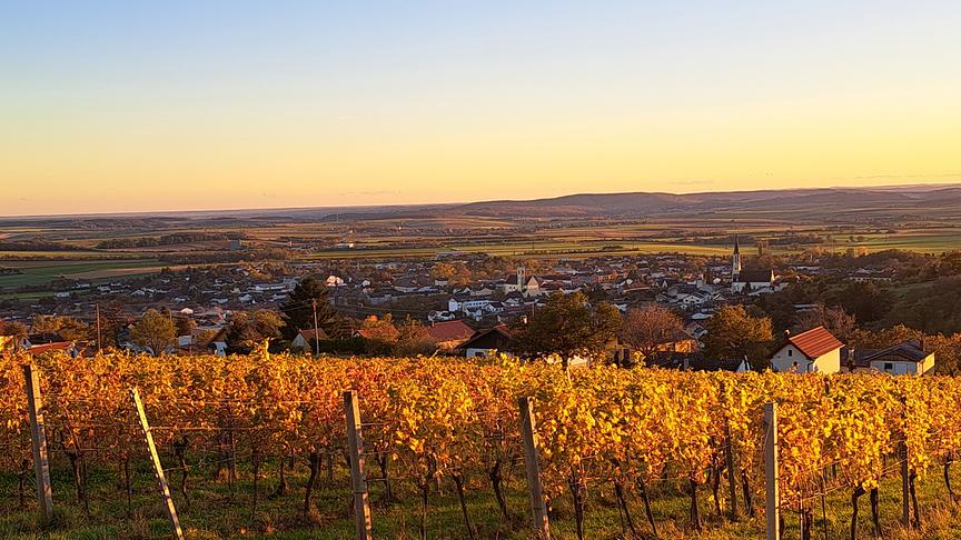 © Jonas Stipits Traumhafte Herbststimmung im Rechnitzer Weingebirge (Jonas Stipits)