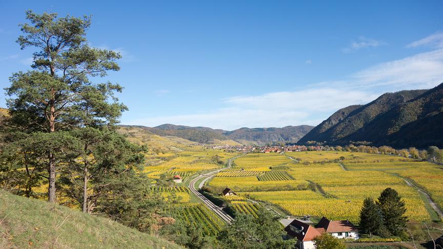 © Karin Hügel Weißenkirchen in der Wachau. Aufstieg von St. Michael zur Buschandlwand (Karin Hügel)