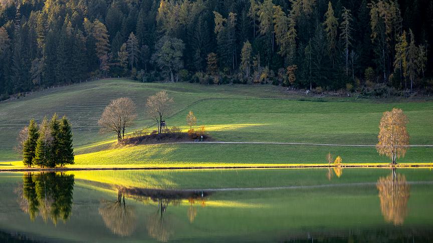 © Gerlinde Ainhirn Es ist zwar kein Polarlicht..aber ein schönes Herbstlicht... (Gerlinde Ainhirn)