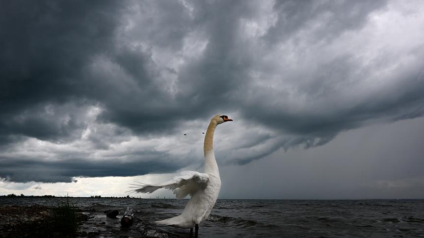 © Manfred Gasser Wolkenstimmung am Bodensee (Manfred Gasser)