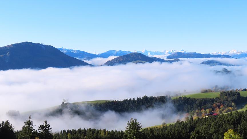 © Rudolf Kößl Ein dichtes Nebelmeer im Ybbstal bei Ybbsitz. (Rudolf Kößl)