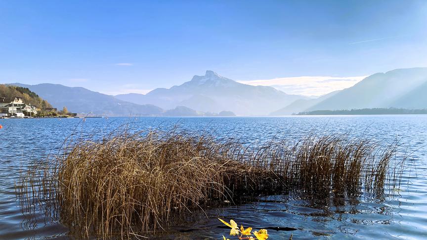 © Inge Lindengrün Mondsee (Inge Lindengrün)