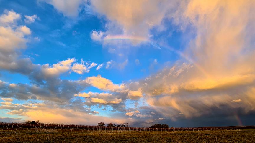 © Harald Böhm Sonnenaufgang mit 2 Regenbögen (Harald Böhm)