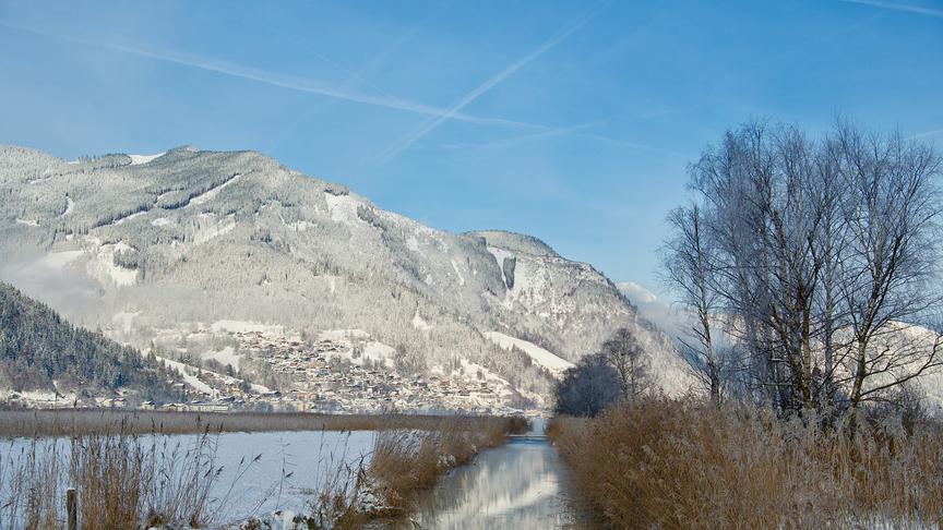 © Maria Harlander Heute Raureif im Naturschutzgebiet in Zell am See Schüttdorf (Maria Harlander)