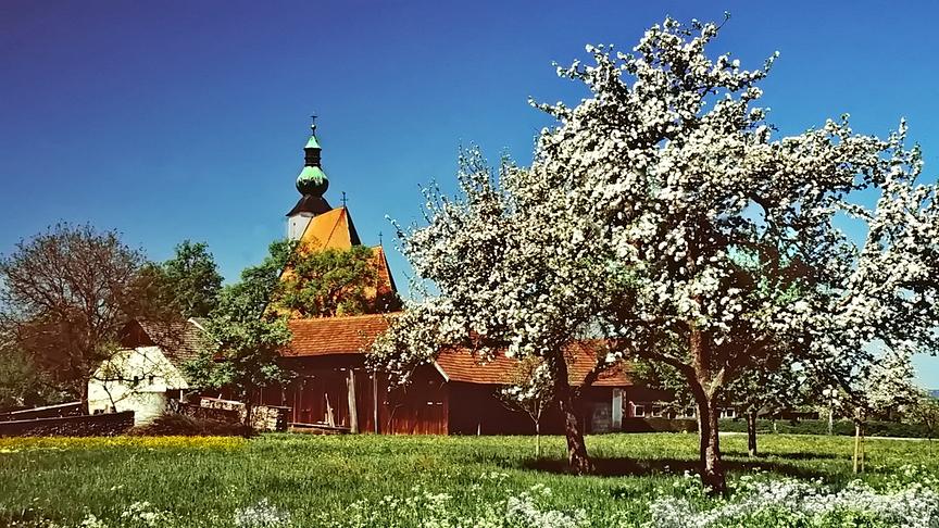 © Peter Grill Frühling (Peter Grill)