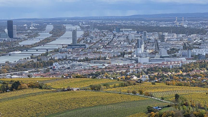 © Daniela Kainc Wunderschöne herbstliche Wien (Daniela Kainc)