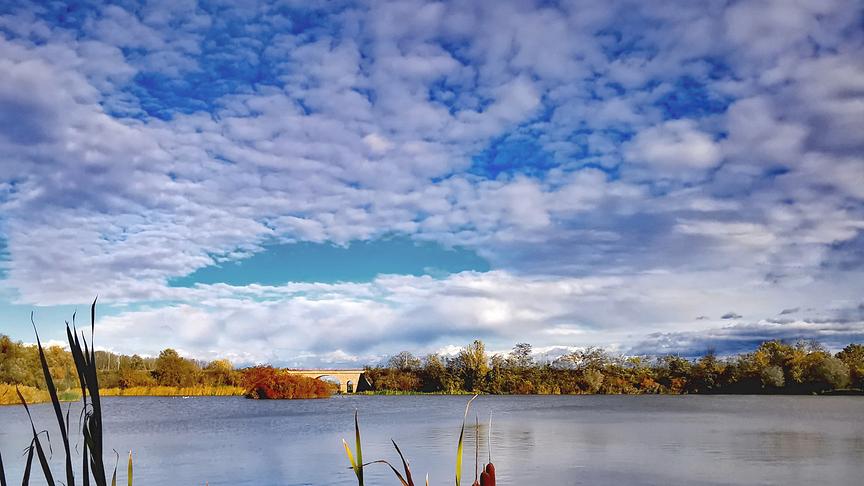 © Gerti Portisch Schäfchenwolken ziehen über die Teichlandschaft in Bernhardsthal (Gerti Portisch)