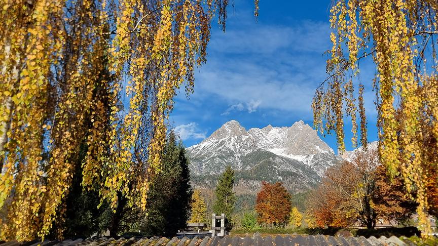 © Georg Ackerer Feines Herbstliches Farbenspiel Steinernes Meer (Georg Ackerer)