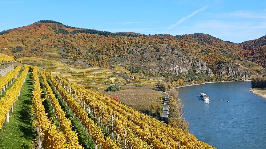 © Walter Senk Donau bei Weißenkirchen , Ried Achleiten (Walter Senk)