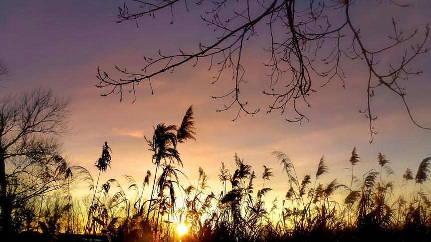 © Gerti Portisch Interessantes Farbenspiel im Weinviertel - aufgenommen bei Ketzelsdorf. (Gerti Portisch)