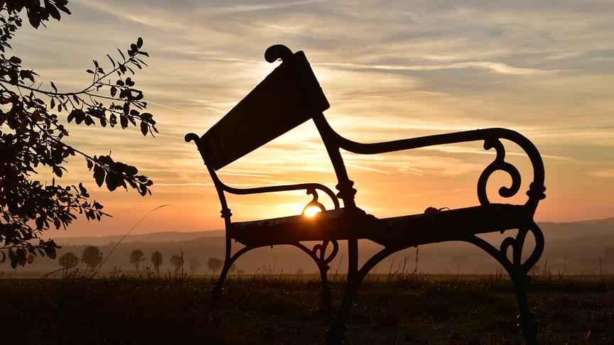 © Renate Neuwirth Sonnenaufgang an Halloween im Waldviertel (Renate Neuwirth)
