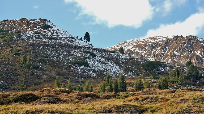 © Anna Moresco erster Schneefall auf den Bergen im langen Grund (Anna Moresco)
