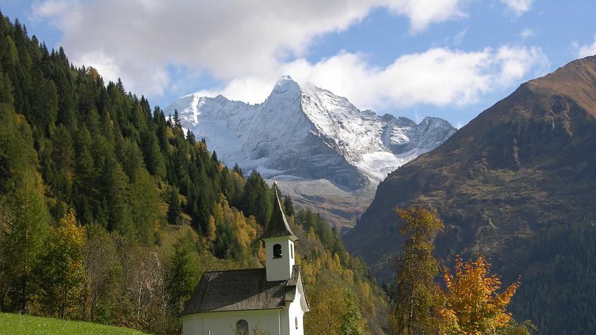 © Helmut Nendwich Herbst im Walsertal (Wipptal) Im Hintergrund Olperer und Fußstein (Helmut Nendwich)