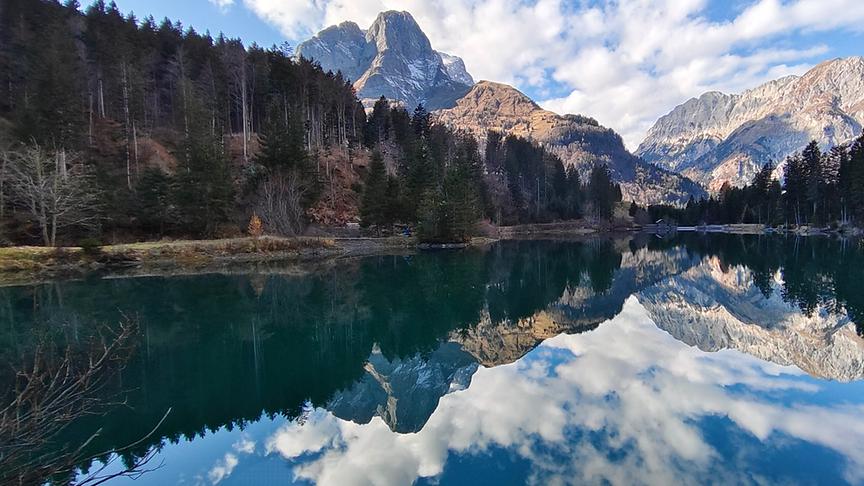 © Petra Guggenberger Spiegelungen im ökologisch angelegten Bergstausee dem Grünsee im Plöckengebiet (Petra Guggenberger)