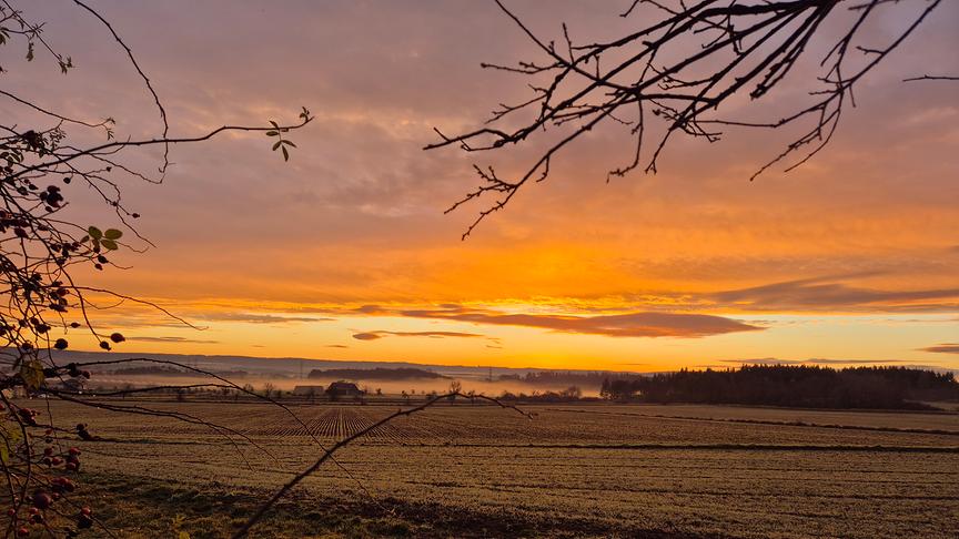 Morgenstimmung in Burgerwiesen (Angela Kroitzsch)