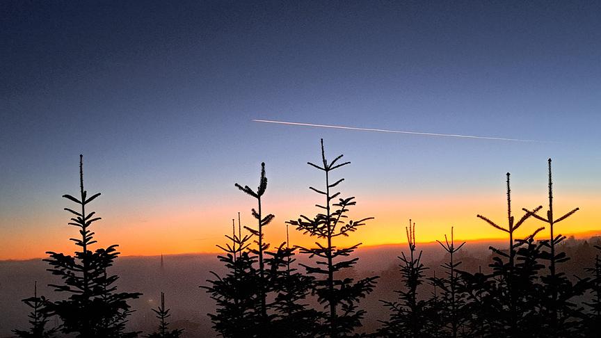 Sonnenuntergang bei der Christbaumkultur in Rechnitz Mit Blickrichtung Ortschaft Rechnitz im Nebel (Thomas Stipits)