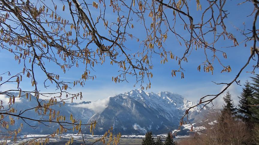 Heute Sonnenschein mit Neuschnee auf den Bergen, aber der Frühling schaut schon beim Fenster herein. (Marianne Robl)