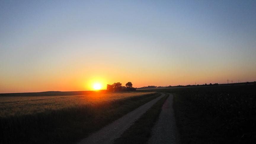 Sonnenaufgang Gerersdorf Richtung St.Pölten bei meiner morgentlichen Laufrunde (Renate Schild)