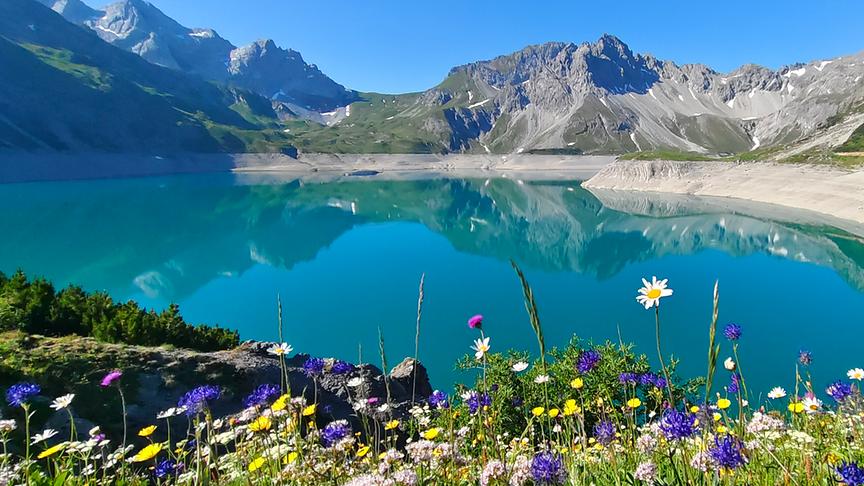Üppige Vegetation beim Lünersee im Brandnertal (Judith Lechner)