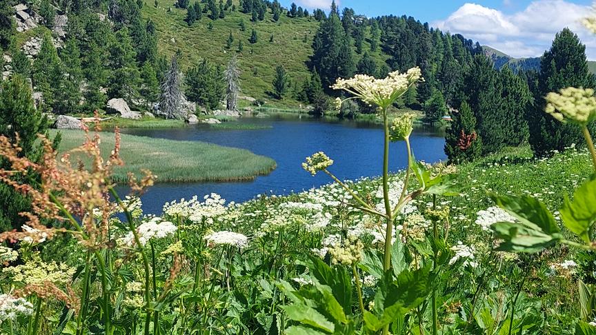 Der Windebensee in den Nockbergen (Erika Uiberlacher)