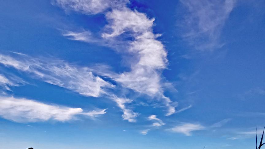 Eine herbstliche Wiese mit leicht verfärbtem Gras unter einem strahlend blauen Himmel mit wenigen, weißen Schleierwolken.
