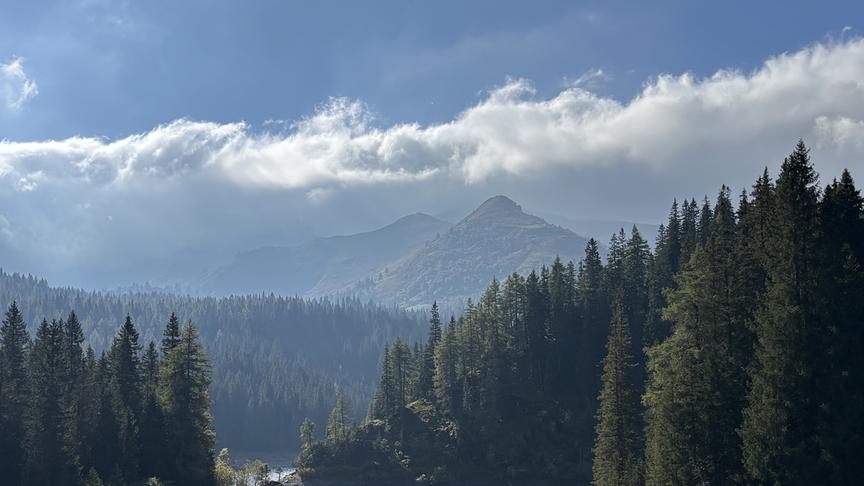 Idyllische Naturlandschaft mit einem ruhigen Bergsee im Vordergrund, umgeben von grünem Wald und hohen Bergen unter klarem Himmel mit einzelnen Wolken über der Bergkette.