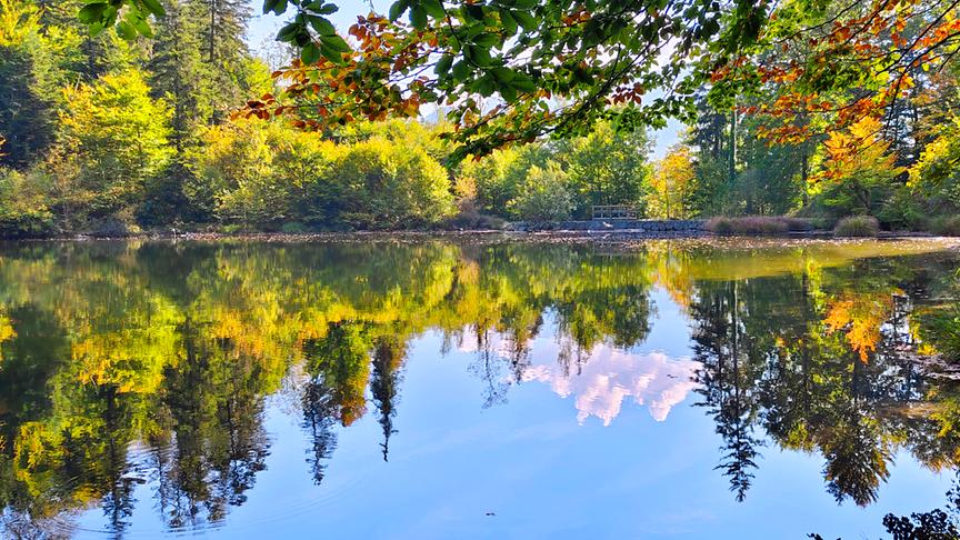 Ruhiger See im Herbst mit farbenprächtigen Bäumen und Spiegelungen im Wasser.