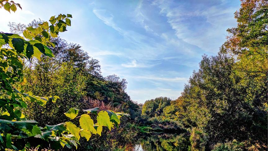 Idyllischer Flussabschnit umgeben von dichtem Grün und herbstlich buntem Laub und Bäumen.