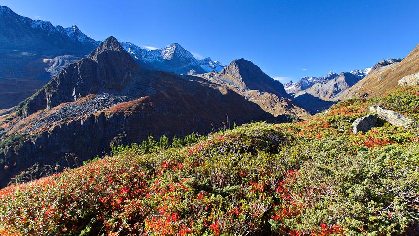 Bergpanorama mit schroffen Gipfeln und herbstluch verfärbter alpiner Vegetation im Vordergrund unter klarem blauen Himmel