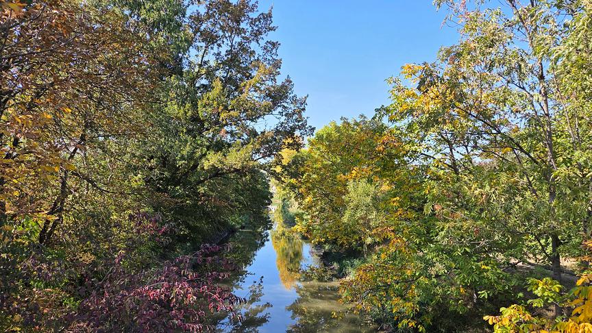 Ruhiger Fluslauf zwischen dicht bewachsenen Ufern mit herbstlich verfärbten Bäumen