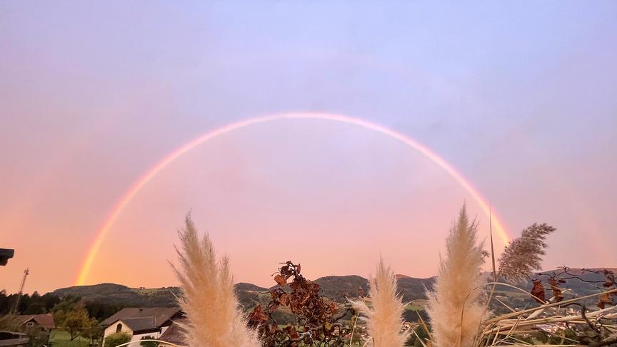 Ein wunderschöner Regenbogen (Martina Huber)