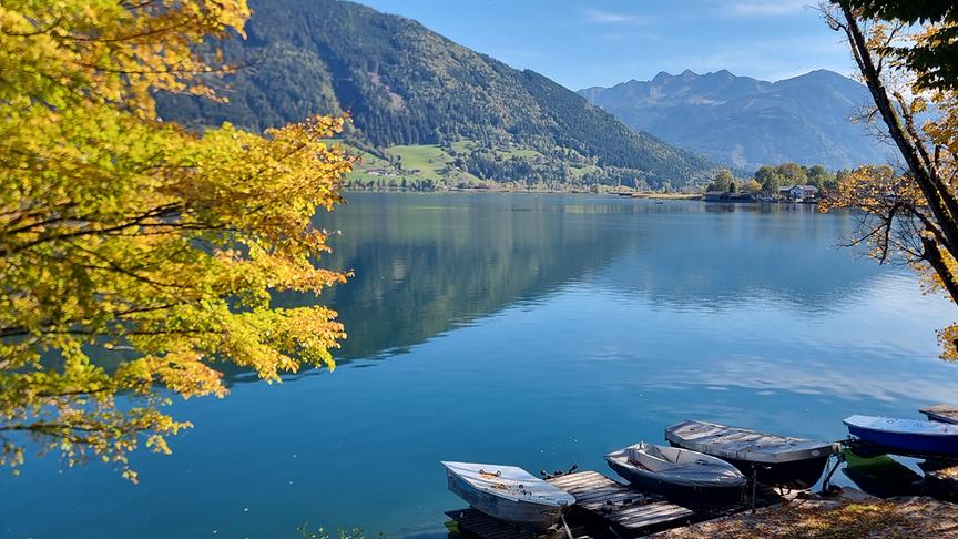 Der Goldene Herbst hat Einzug gehalten! (Georg Ackerer)