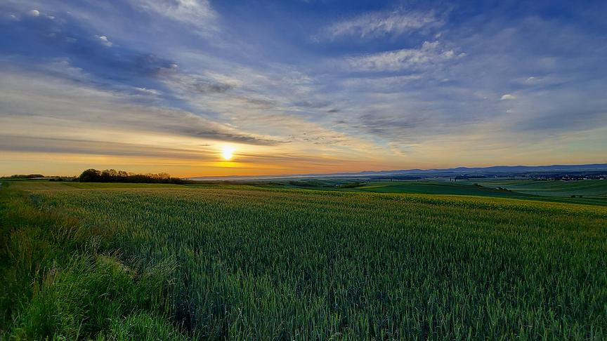 © Fabian Dorner Sonnenaufgang über Zistersdorf und den slowakischen Karpaten-Ausläufern. (Fabian Dorner)