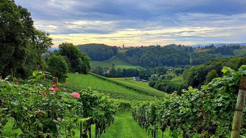 © Mary Reiter Blick vom Frauental Leibnitz! (Mary Reiter)