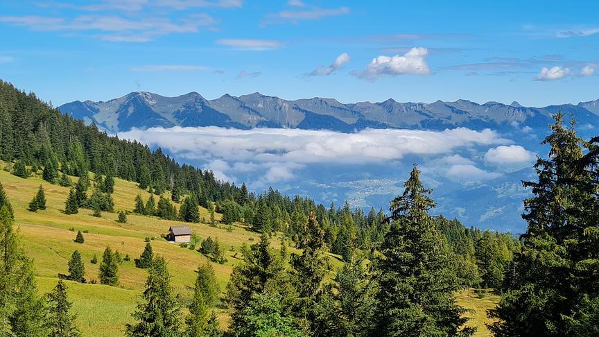 © Heinz Eisner Das schöne Brandnertal vom Burtschasattel 1680m (Heinz Eisner)