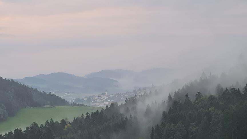 © Helga Grimps Peilstein im Nebel (Helga Grimps)