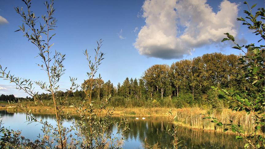 © Emma Sommeregger Gestern habe ich in der schönen Weitwörther Au - Nussdorf (Emma Sommeregger)