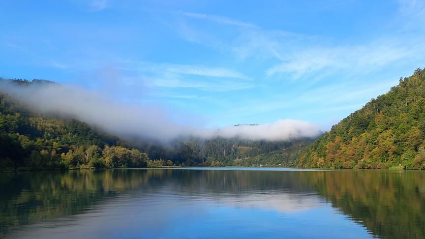 © Sabine Lauß Herbststimmung an der Donau in OÖ (Sabine Lauß)