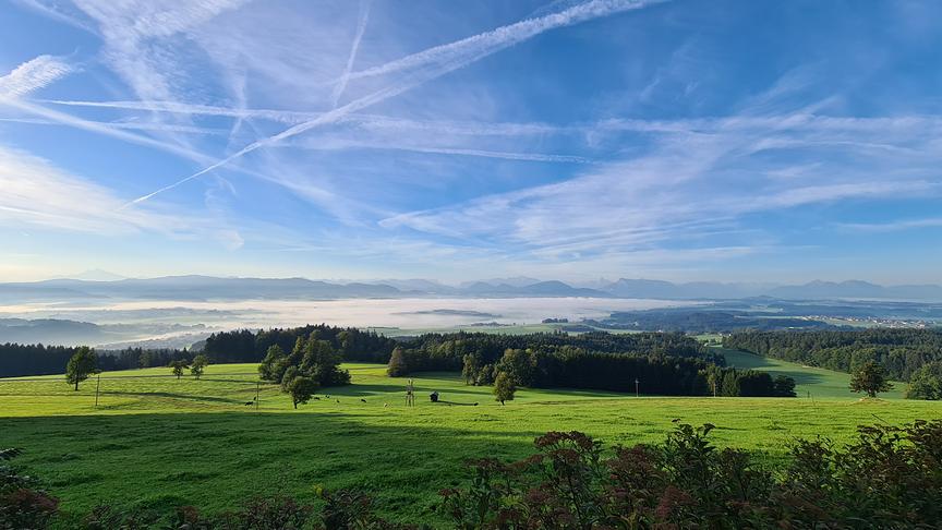 © Doris Stemeseder Blick über den mit Nebel verdeckten Wallersee Richtung Stadt Salzburg. (Doris Stemeseder)