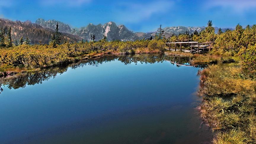 © Peter Grill Es ist Herbst am Löckermoos in Gosau (Peter Grill)