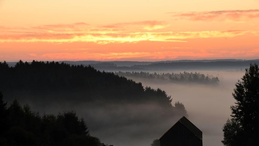© Renate Neuwirth Seehöhe 911 m - daher über dem Nebel (Renate Neuwirth)