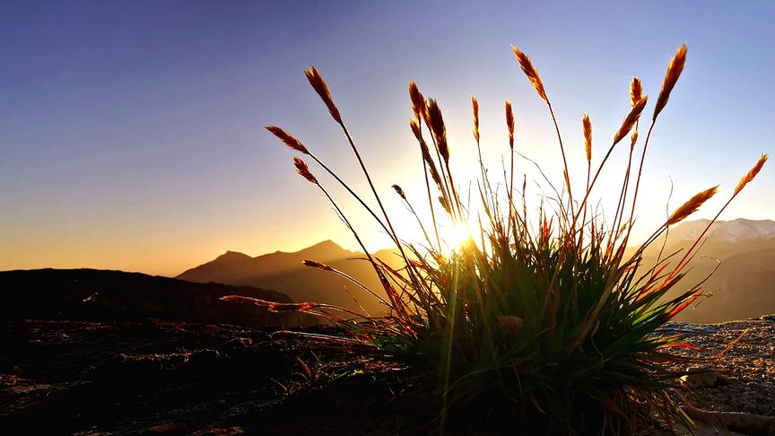 © Maria Harlander Sonnenaufgang auf der Edelweißspitze Großglocknerhochalpenstrasse (Maria Harlander)