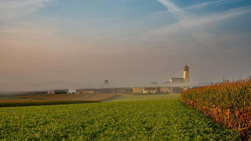 © Manfred Kamleitner St. Willibald (Innviertel) im Frühnebel (Manfred Kamleitner)
