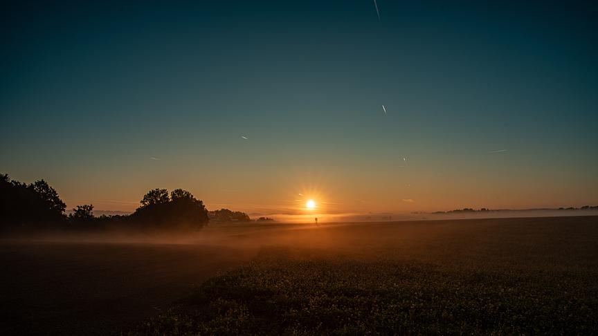 © Manfred Kamleitner Sonnenaufgang im Nebel in Peuerbach (Manfred Kamleitner)