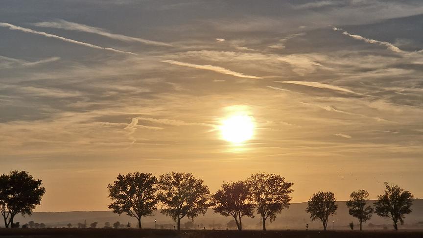 © Tibor Schachenhofer Sonnenuntergang bei Jois (Tibor Schachenhofer)