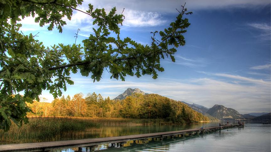 © Emma Sommeregger Herbststimmung beim Naturbadestrand in Hof Sbg (Emma Sommeregger)